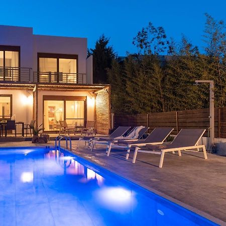 Luxury Nissovilla With Private Pool & Sea Views Κολύμπια Εξωτερικό φωτογραφία